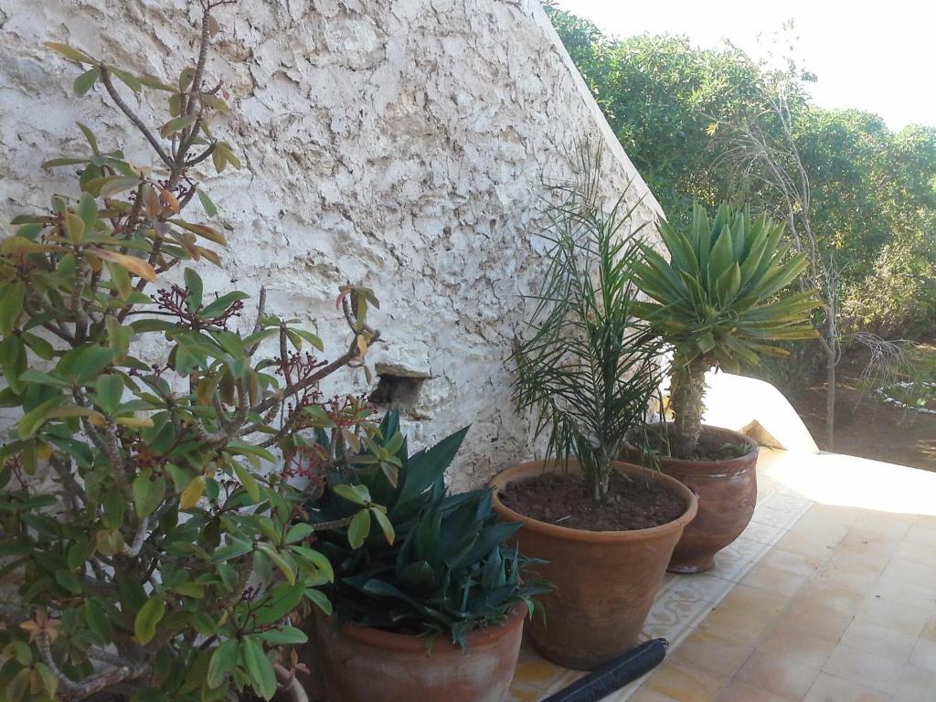 La Maison Guest house